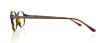 Picture of Polo Eyeglasses PH2084