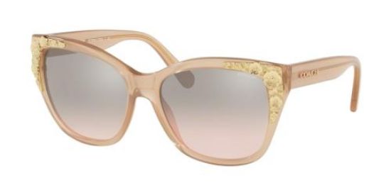 Picture of Coach Sunglasses HC8244