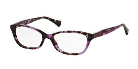 Picture of Ralph Eyeglasses RA7049