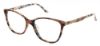 Picture of Bcbgmaxazria Eyeglasses DARBY