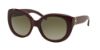 Picture of Tory Burch Sunglasses TY7076