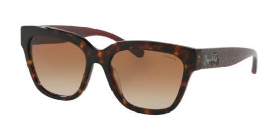 Picture of Coach Sunglasses HC8262
