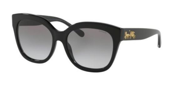 Picture of Coach Sunglasses HC8264F