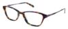 Picture of Ellen Tracy Eyeglasses HAVANA