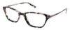 Picture of Ellen Tracy Eyeglasses HAVANA