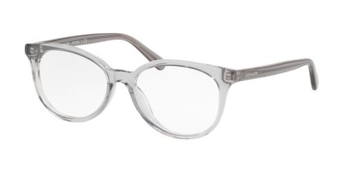 Picture of Coach Eyeglasses HC6138U
