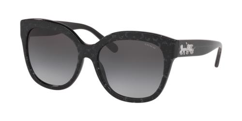 Picture of Coach Sunglasses HC8264F