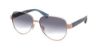 Picture of Coach Sunglasses HC7111