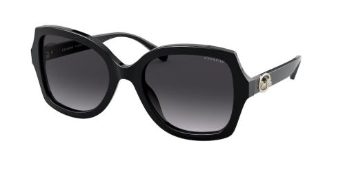 Picture of Coach Sunglasses HC8295
