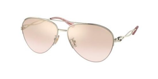 Picture of Coach Sunglasses HC7124