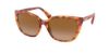Picture of Ralph Sunglasses RA5274