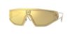 Picture of Versace Sunglasses VE2226