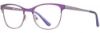 Picture of db4k Eyeglasses Sparkler