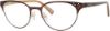 Picture of Liz Claiborne Eyeglasses 457