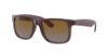 Picture of Ray Ban Sunglasses RB4165