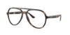 Picture of Ray Ban Eyeglasses RX4376V