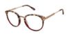 Picture of L.A.M.B. Eyeglasses LA087