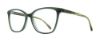 Picture of Serafina Eyewear Eyeglasses Candice