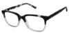 Picture of Xxl Eyewear Eyeglasses Thresher