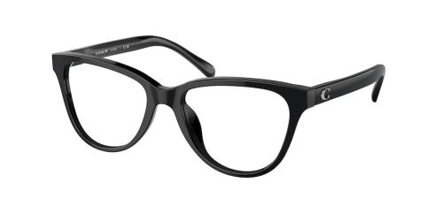 Picture of Coach Eyeglasses HC6202U