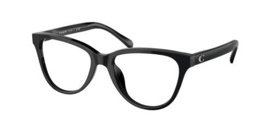 Picture of Coach Eyeglasses HC6202U
