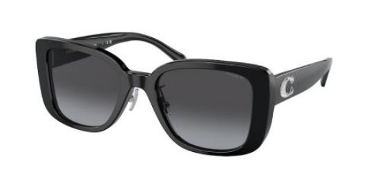 Picture of Coach Sunglasses HC8352