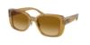 Picture of Coach Sunglasses HC8352