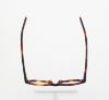 Picture of Polo Eyeglasses PP8519