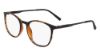 Picture of Flexon Eyeglasses EP8020