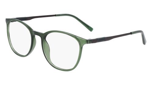 Picture of Flexon Eyeglasses EP8020