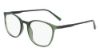 Picture of Flexon Eyeglasses EP8020