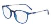 Picture of Flexon Eyeglasses EP8020