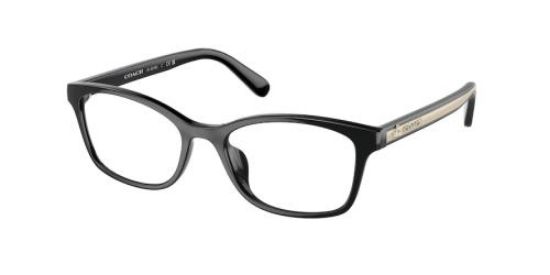 Picture of Coach Eyeglasses HC6216U