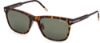 Picture of Tom Ford Sunglasses FT0955-D