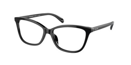 Picture of Coach Eyeglasses HC6206U