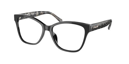 Picture of Coach Eyeglasses HC6207U