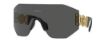 Picture of Versace Sunglasses VE2258