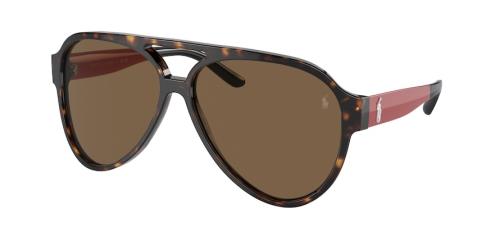 Picture of Polo Sunglasses PH4130