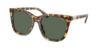 Picture of Polo Sunglasses PH4201U