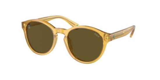 Picture of Polo Sunglasses PP9505U