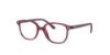 Picture of Ray Ban Jr Eyeglasses RY9093V