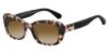 Picture of Kate Spade Sunglasses CLARETTA/P/S