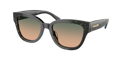 Picture of Coach Sunglasses HC8379U