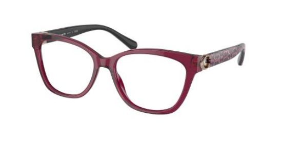 Picture of Coach Eyeglasses HC6120