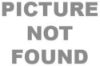 Picture of Guess By Marciano Eyeglasses GM0243